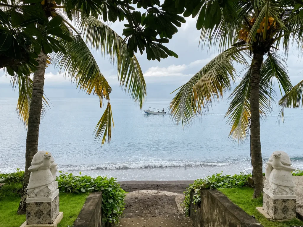 View of the sea through coconut palms, with an outrigger boat offshore